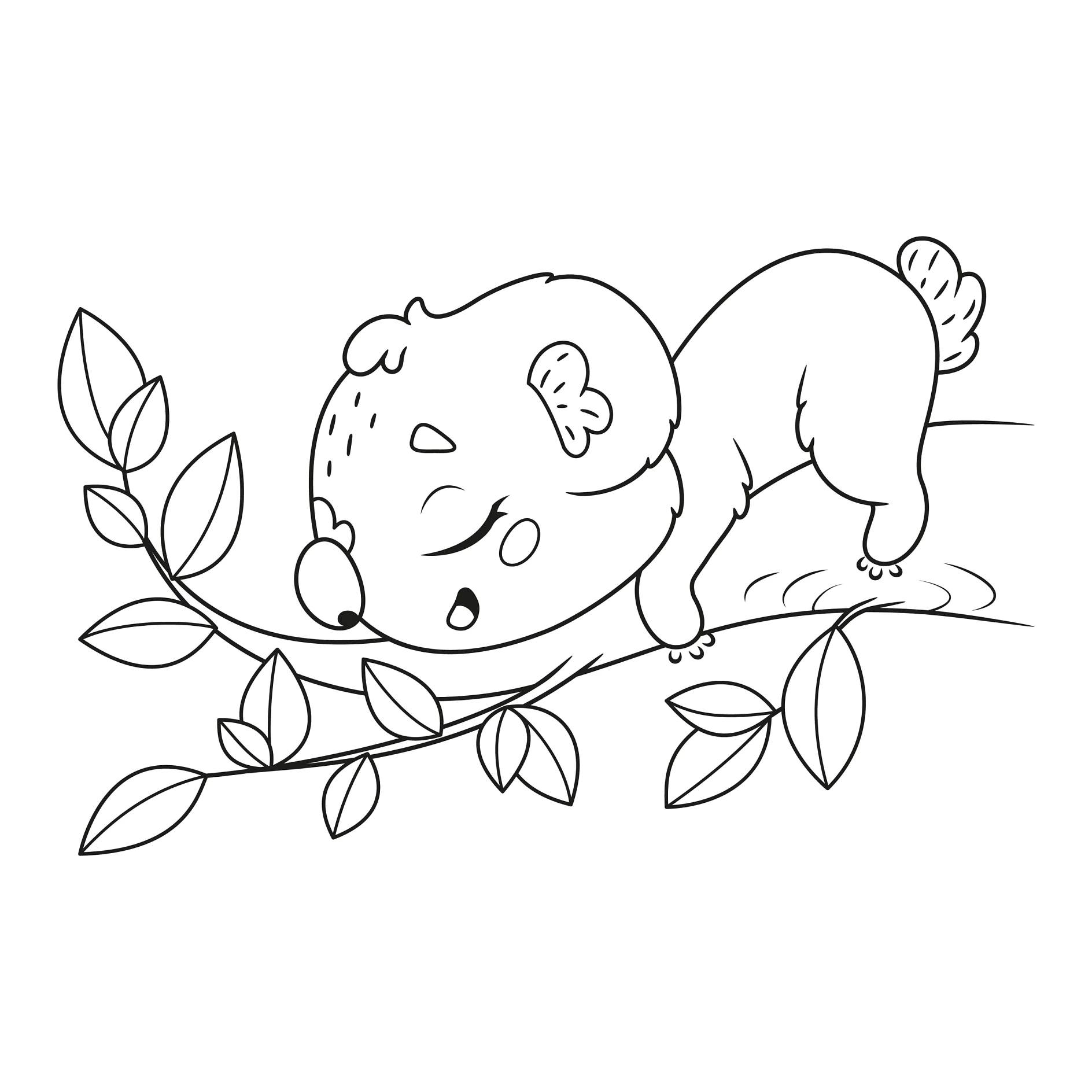 Ausmalbild Koala schnüffelt an EukalyptuszweigSleeping koala on a tree branch coloring page