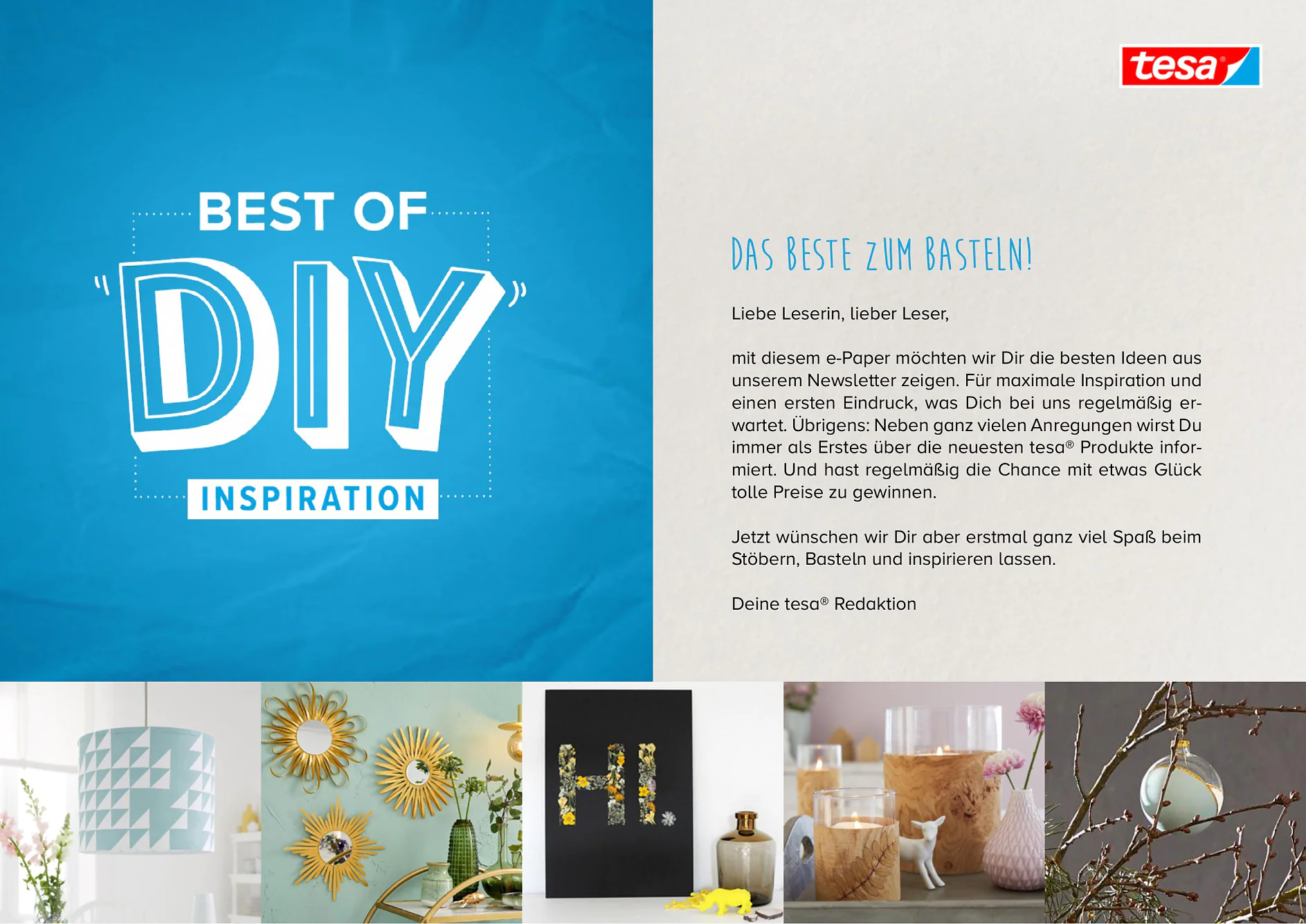 Best of DIY Newsletter