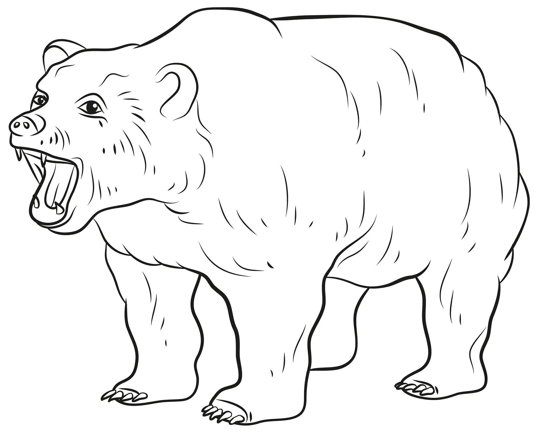 Ausmalbild brüllender Bär mit geöffnetem Maul und detailliertem Fell