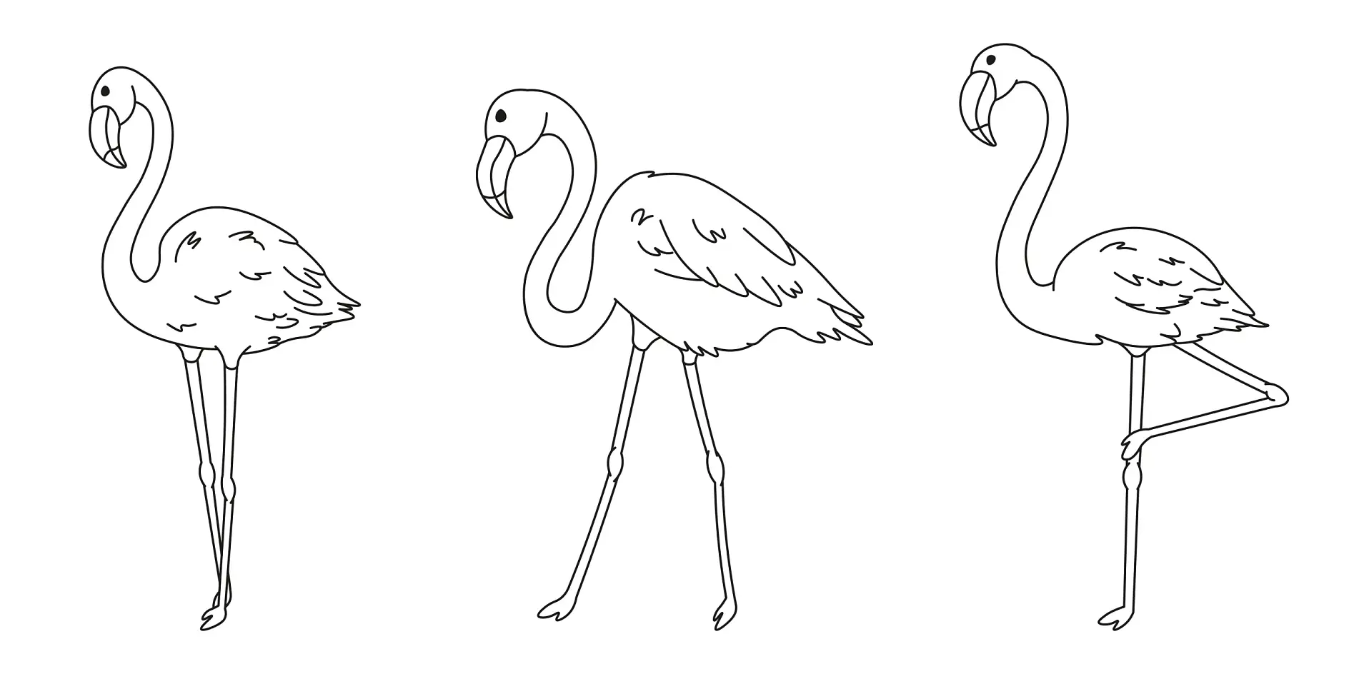 Ausmalbild drei Flamingos in verschiedenen Posen stehend