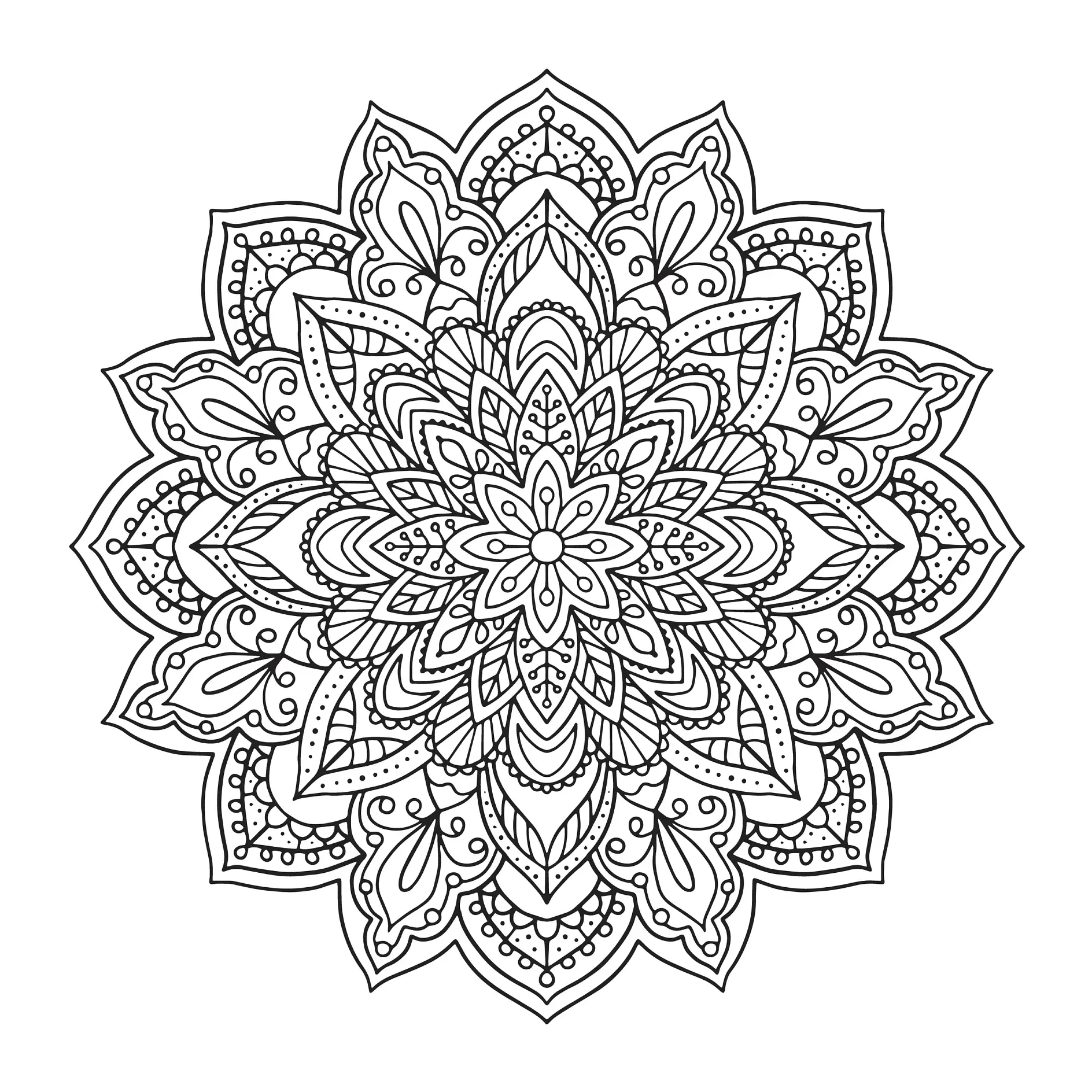 Ausmalbild Mandala mit Blumen und komplexen floralen Mustern und Details