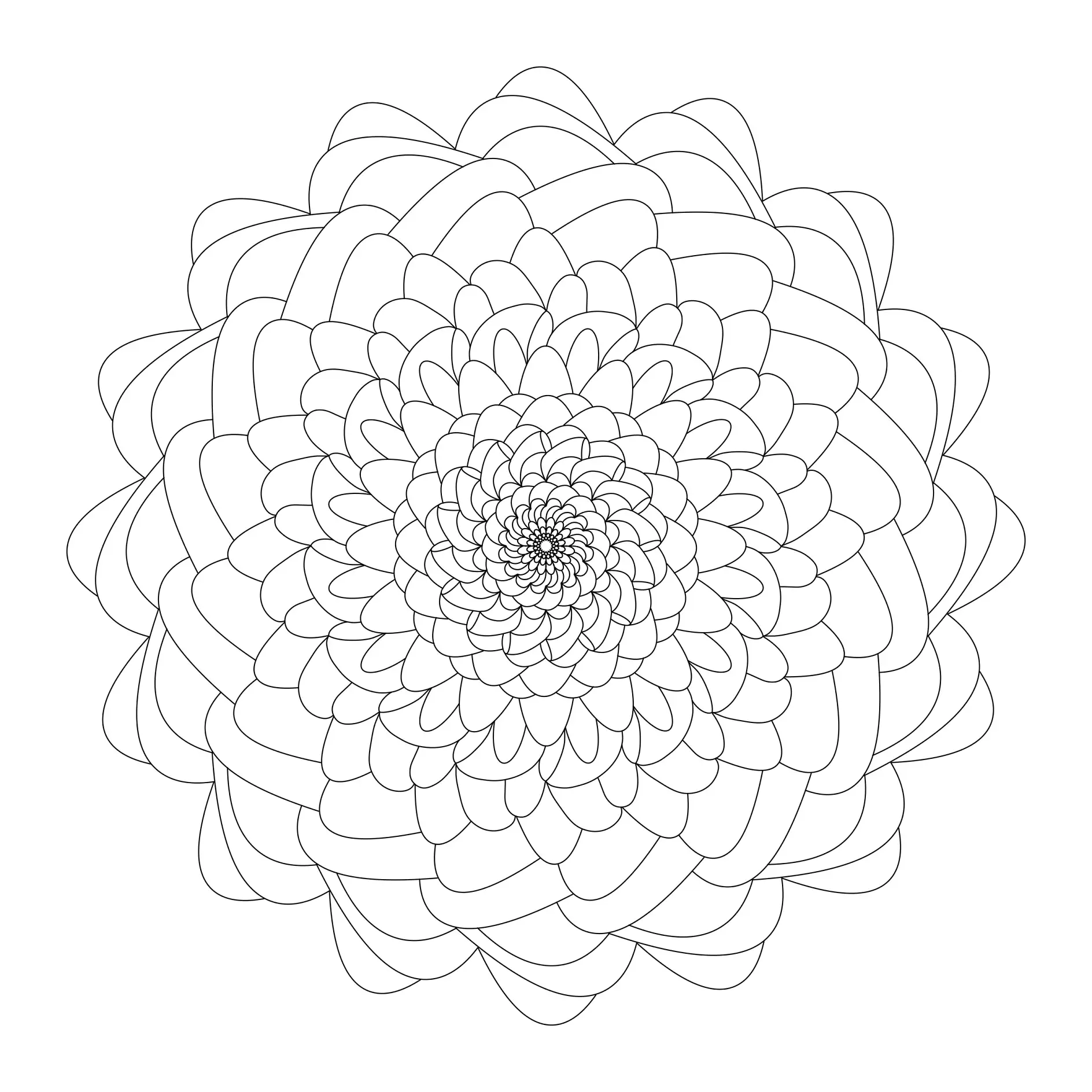 Ausmalbild Mandala mit Blumen und spiralförmigen Blütenblättern