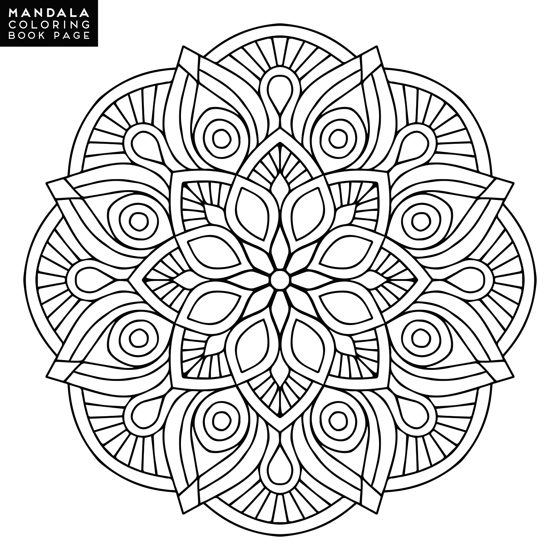 Ausmalbild Mandala mit Blumen und stilisierten Blütenblättern und Kreise