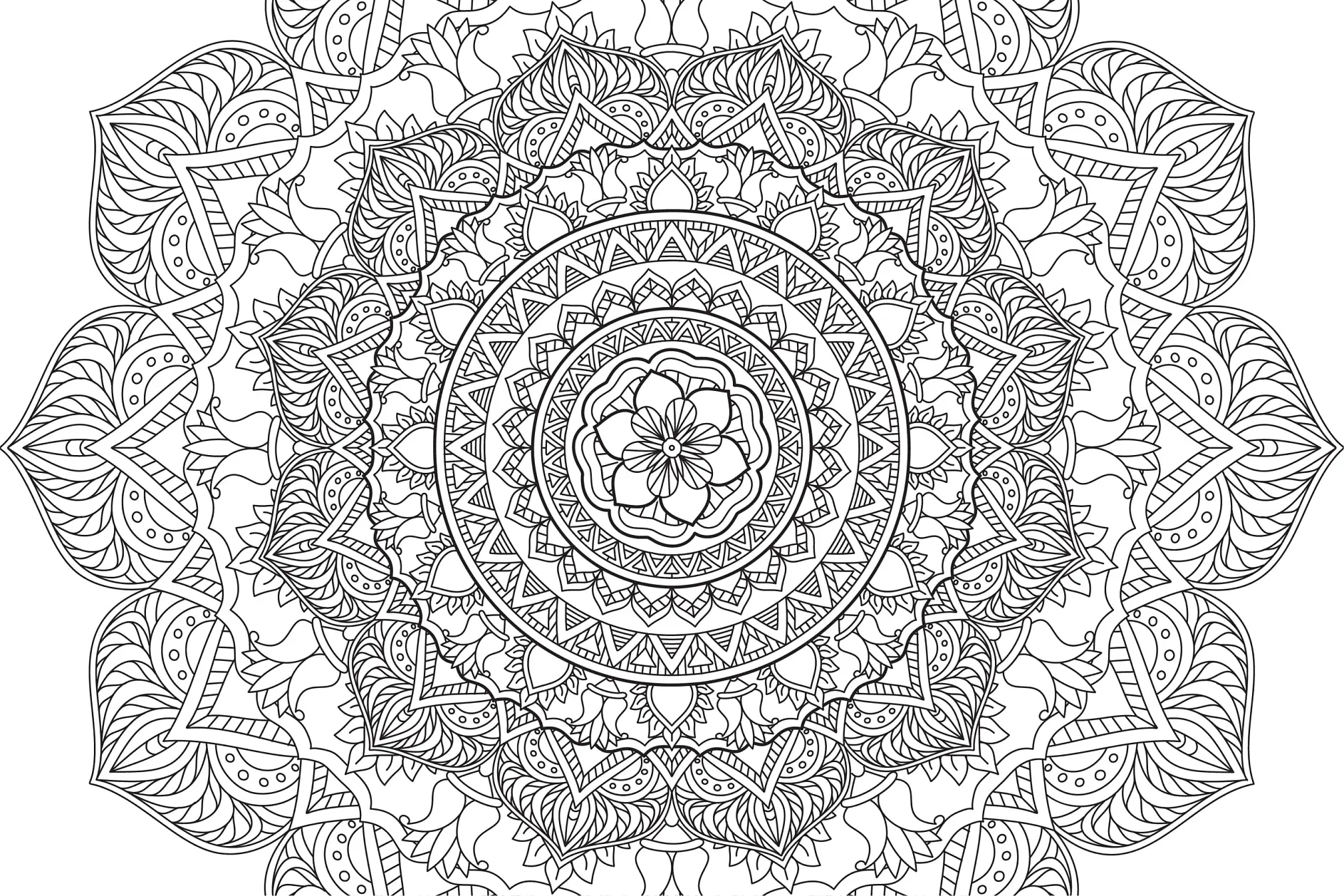 Ausmalbild Mandala mit komplexen Blumenmustern und detaillierten Blättern
