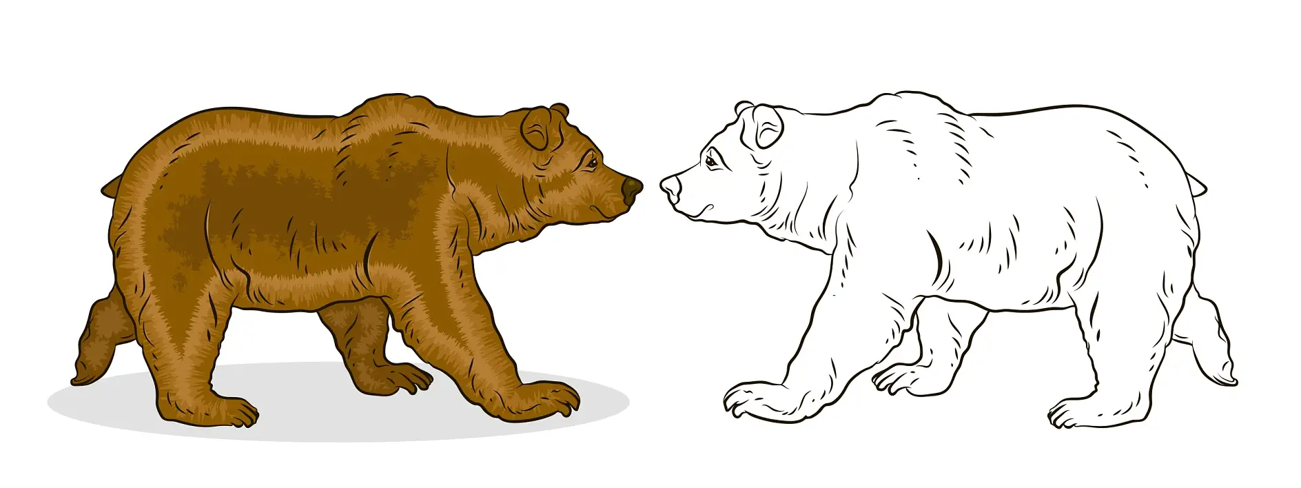 Ausmalbild zwei Bären gegenüberstehend