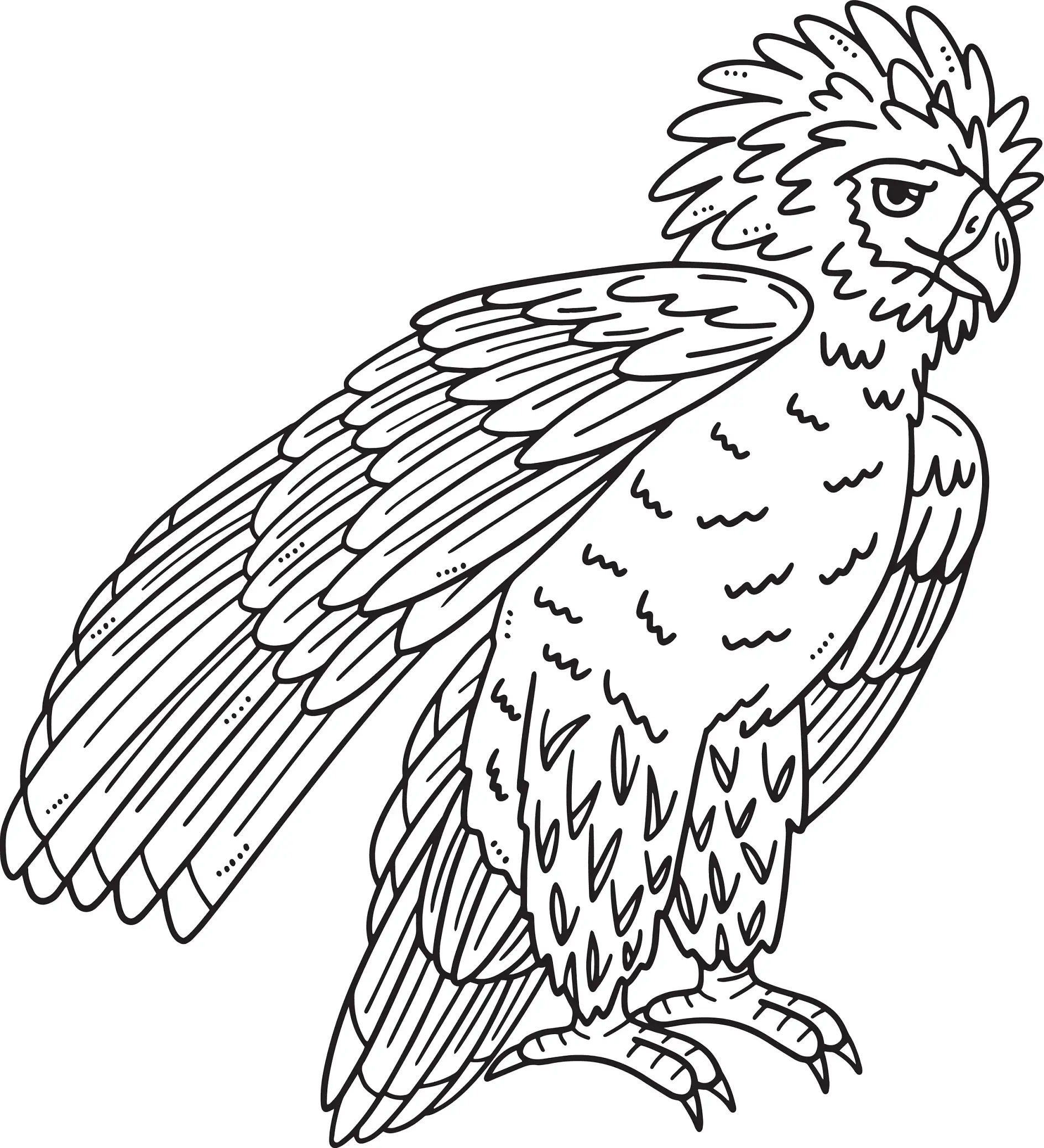 Ausmalbild Adler mit detaillierten Federn und aufmerksamem Blick