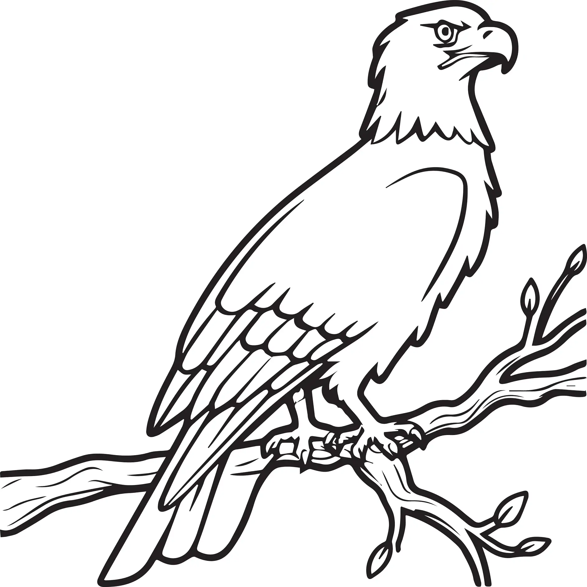 Ausmalbild Adler sitzt auf einem Ast und schaut zur Seite