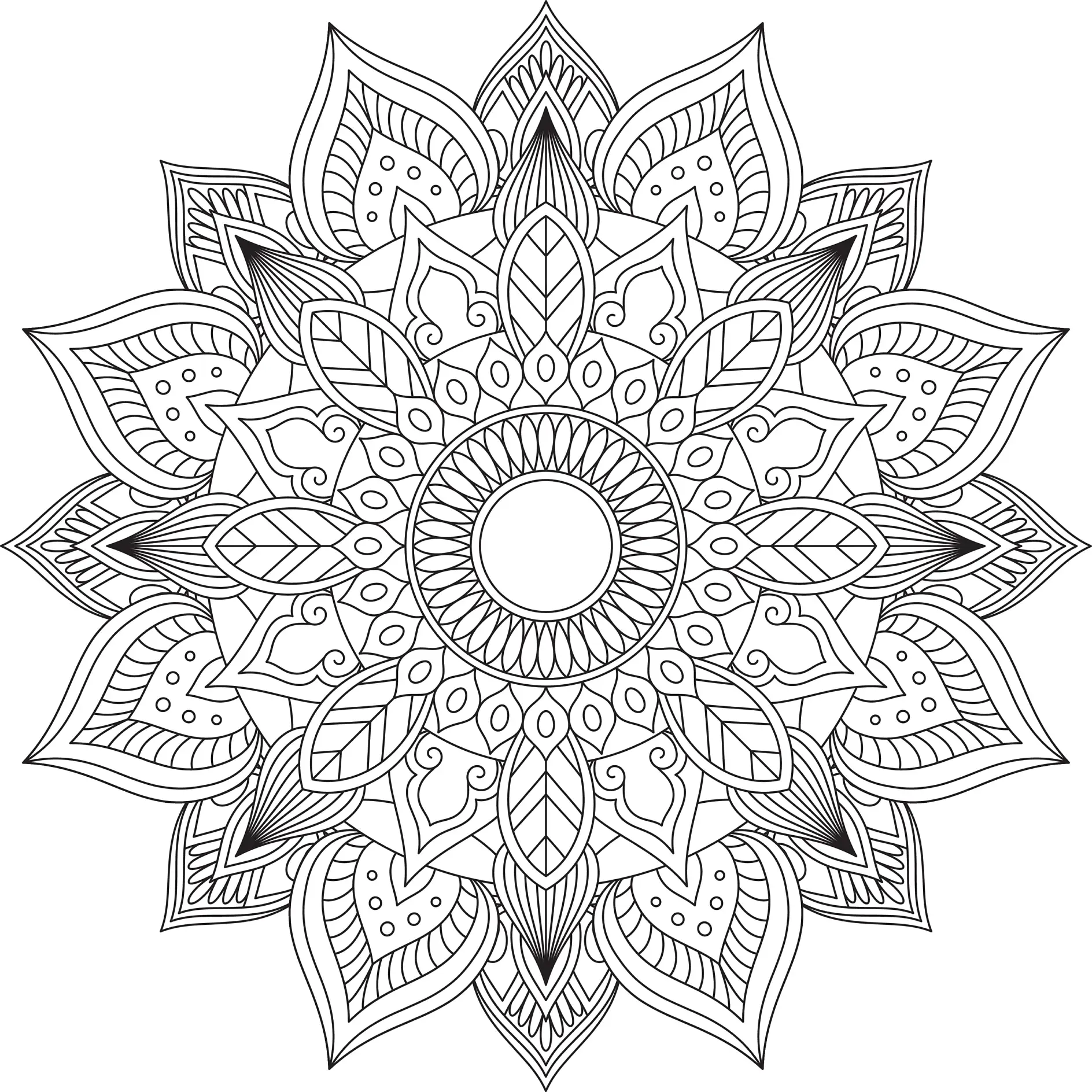 Ausmalbild Mandala mit detaillierten Blättern und geometrischen Formen