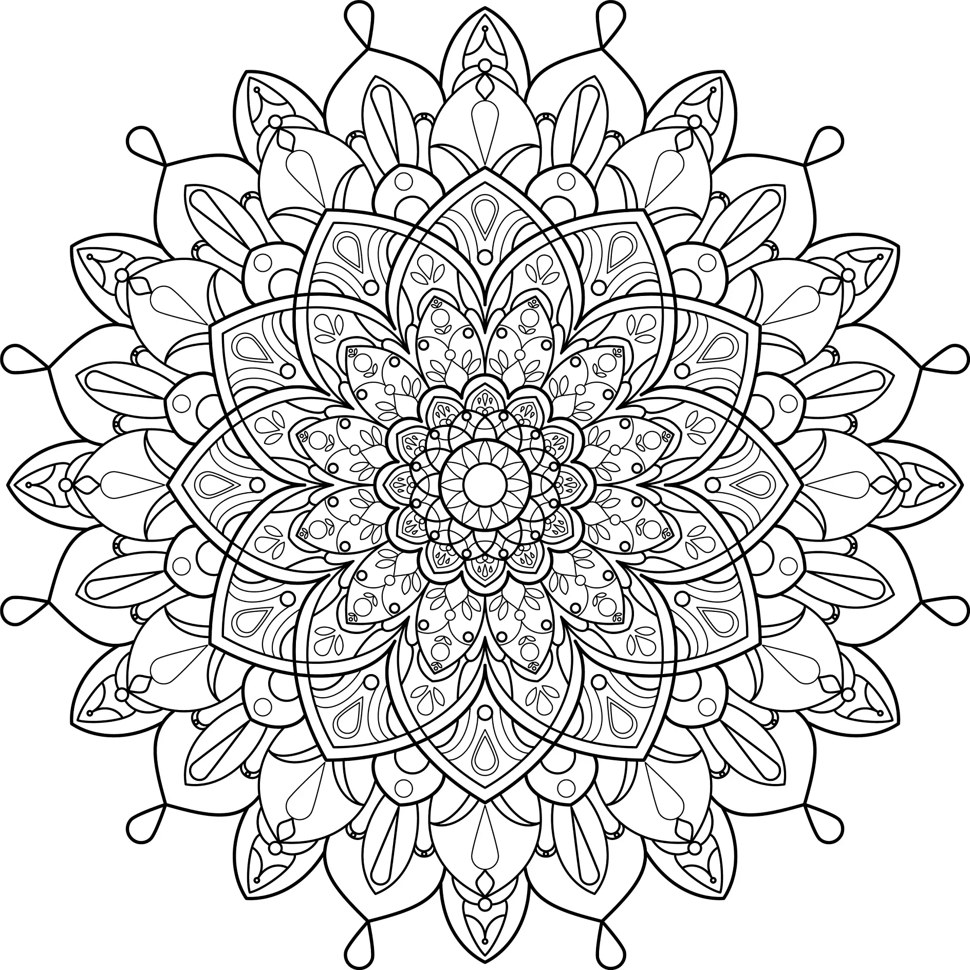 Ausmalbild Mandala mit detaillierten floralen Mustern und Formen