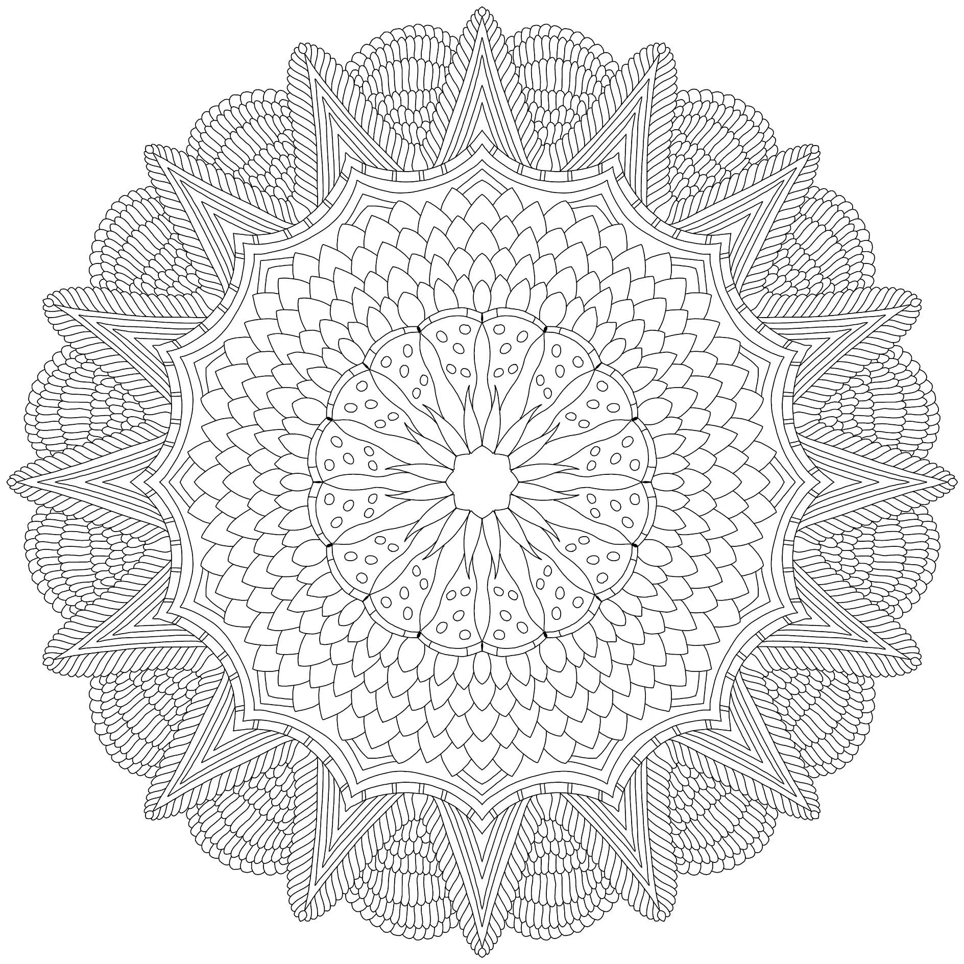 Ausmalbild Mandala mit detaillierten geometrischen Mustern