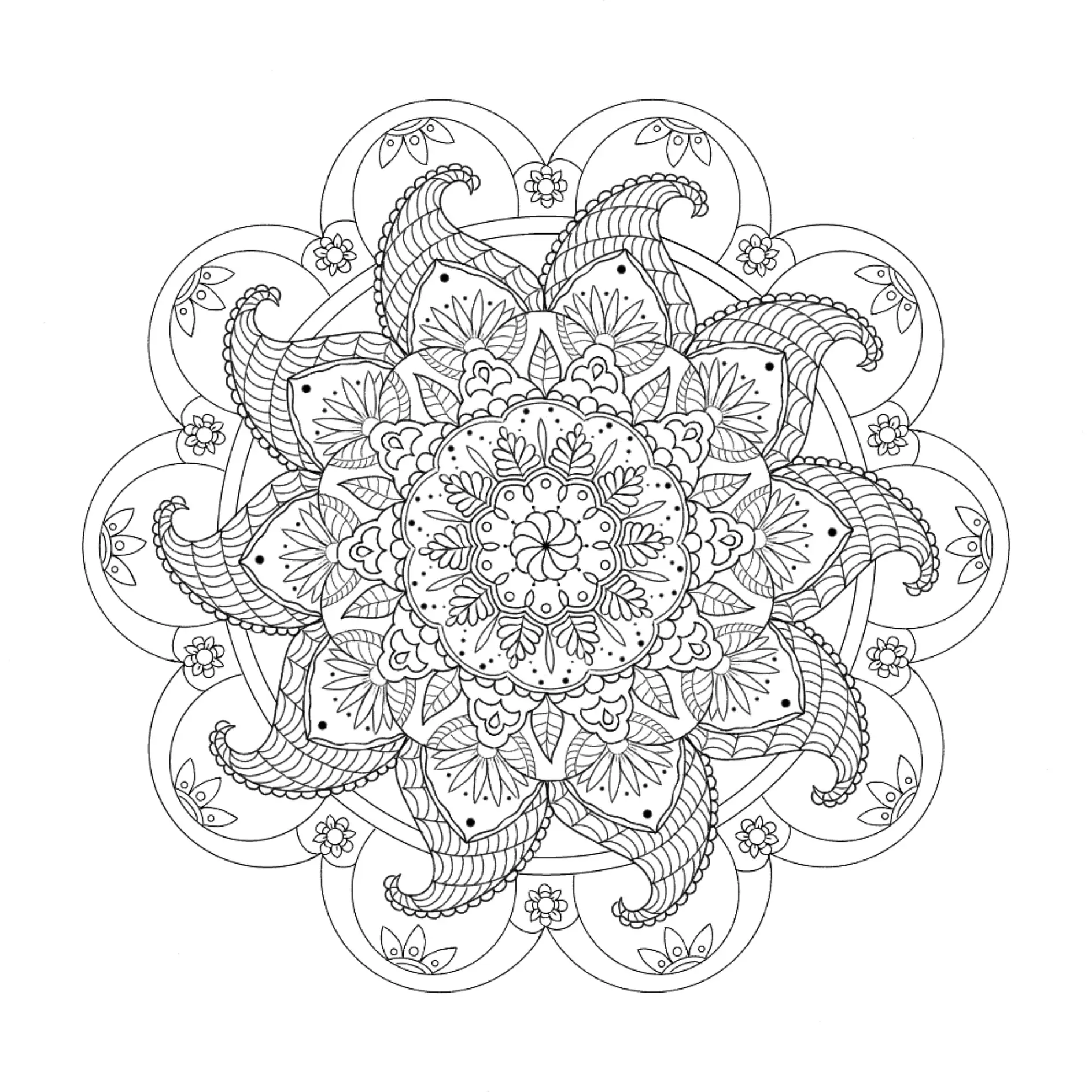 Ausmalbild Mandala mit floralem Muster und geschwungenen Elementen
