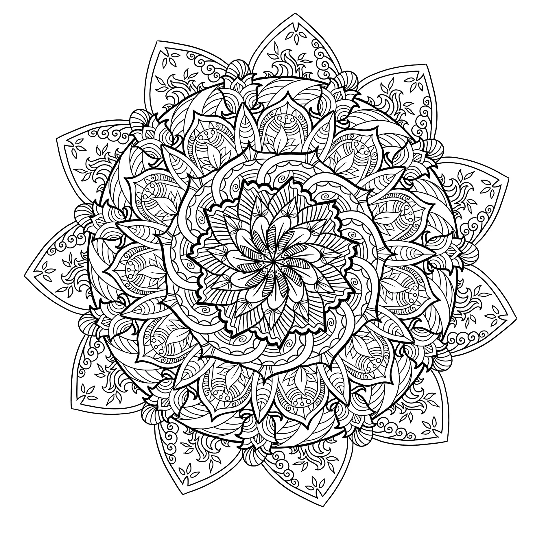 Ausmalbild Mandala mit komplexen floralen Mustern