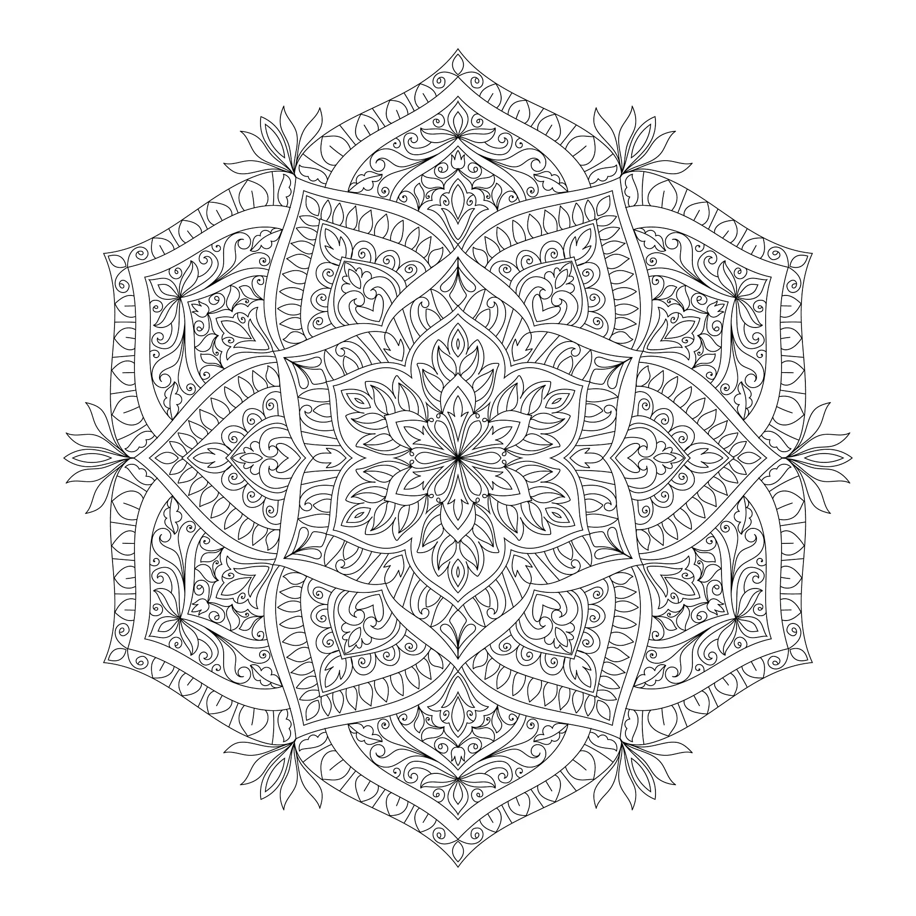 Ausmalbild Mandala mit symmetrischen Mustern und floralen Elementen