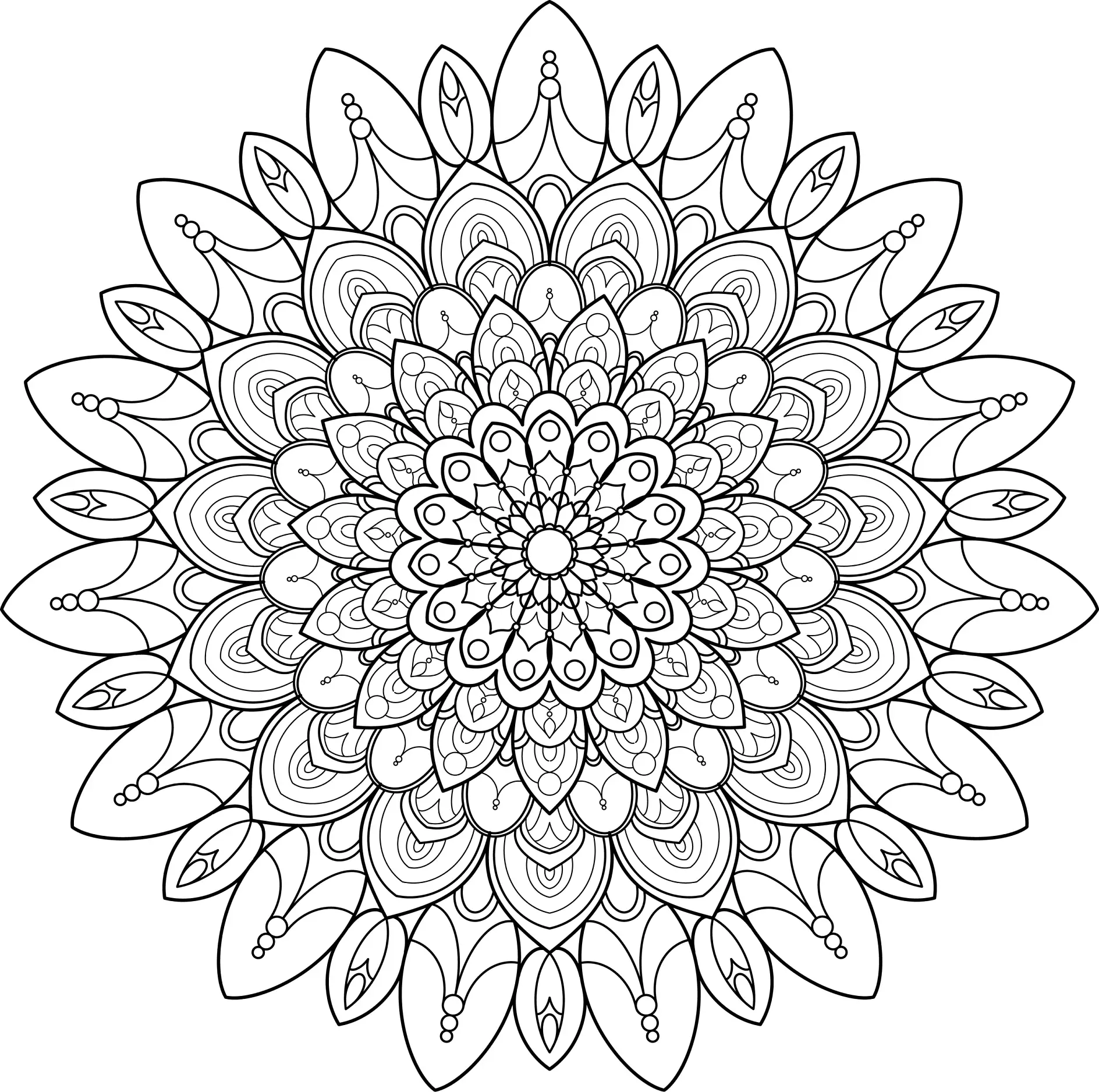 Ausmalbild Mandala mit vielen detaillierten Blättern und Mustern