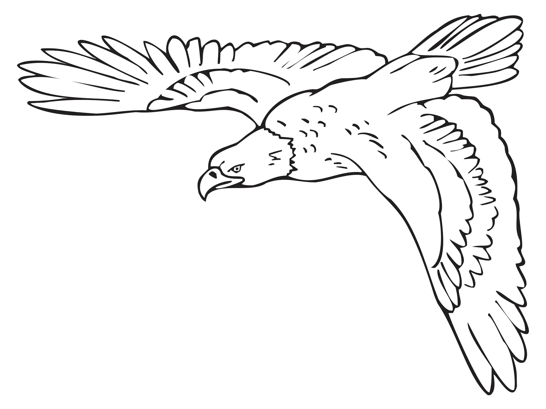 Ausmalbild Adler im Flug mit ausgebreiteten Flügeln