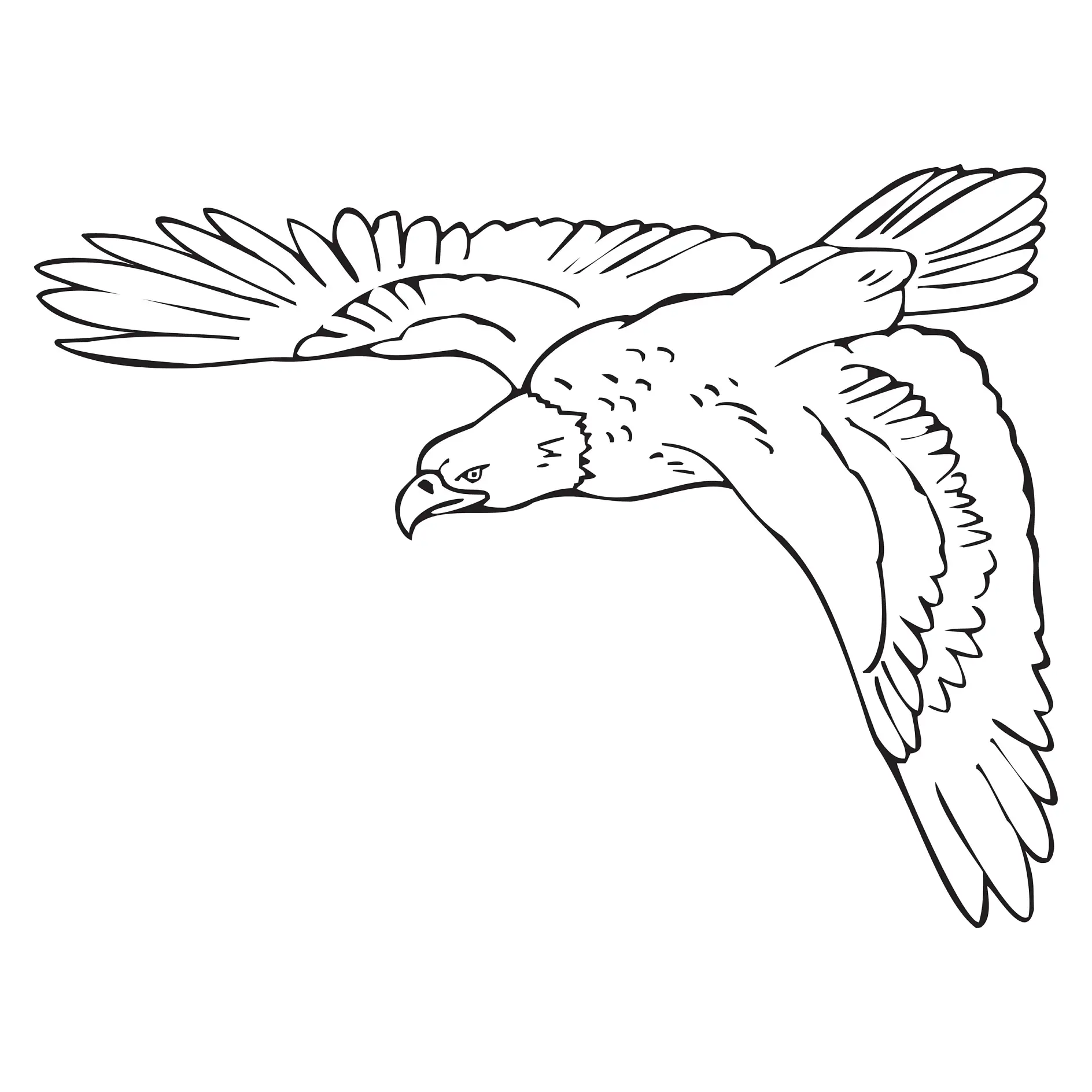 Ausmalbild Adler im Flug mit ausgebreiteten Flügeln