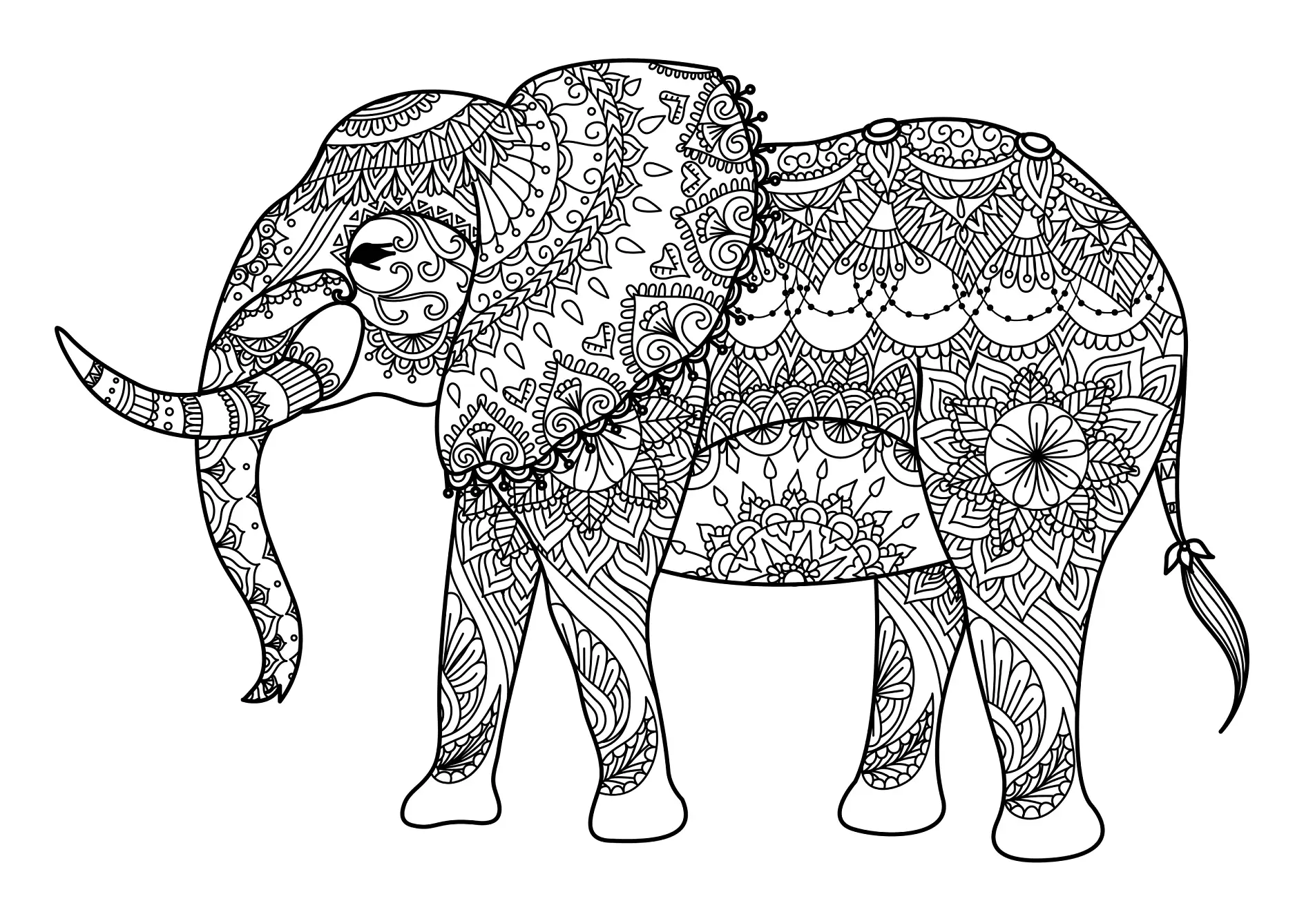 Ausmalbild Mandala Elefant mit dekorativen Mustern und floralen Details