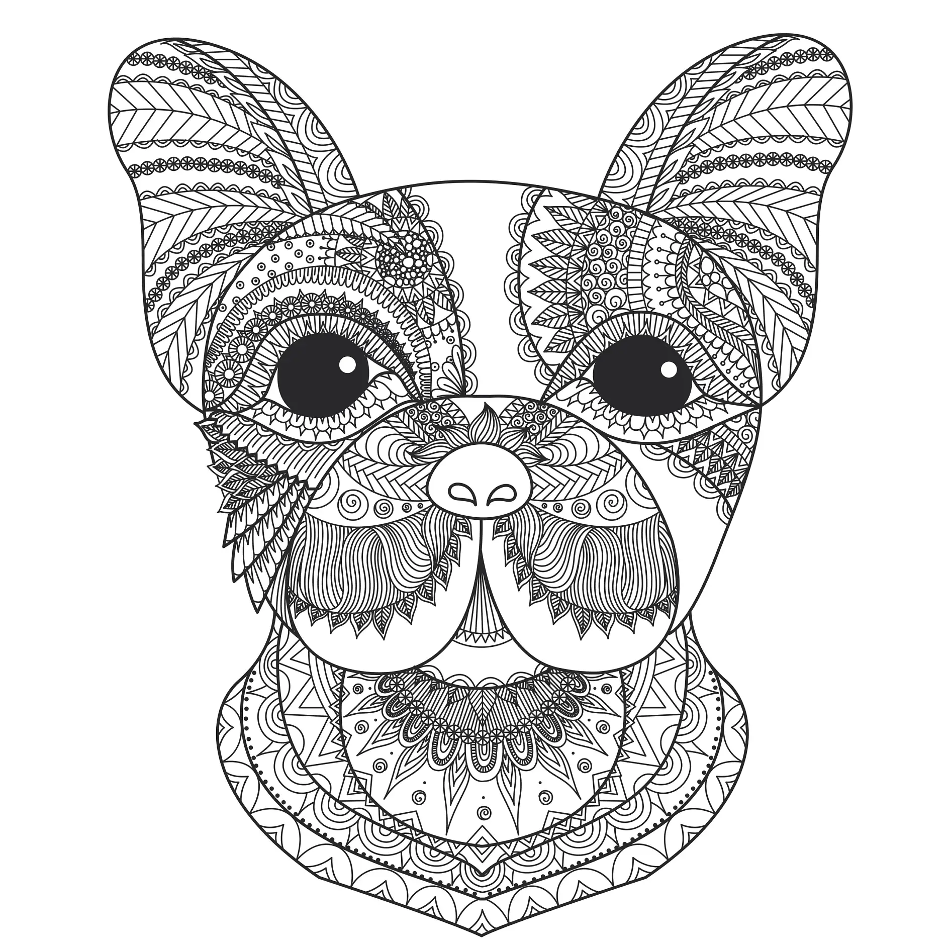 Ausmalbild Mandala mit Hund und detaillierten floralen Mustern und Linien