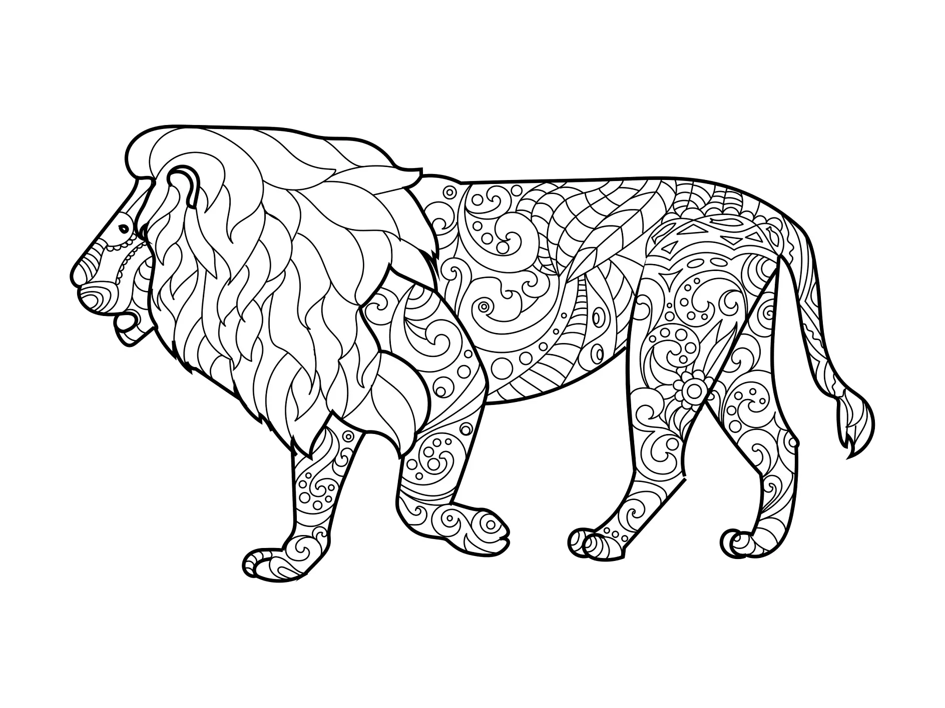 Ausmalbild Mandala mit Löwe und geschwungenen Mustern und Linien