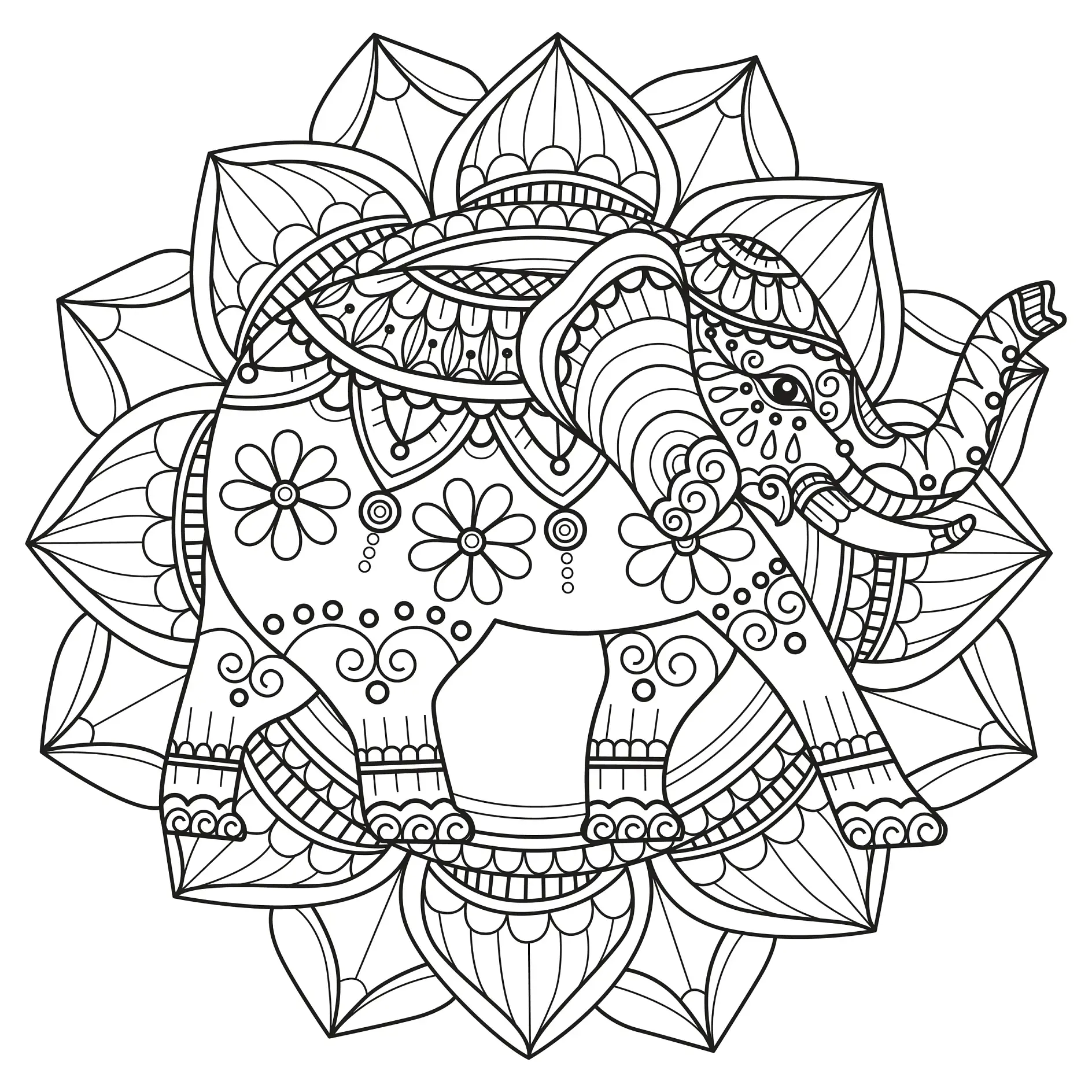 Ausmalbild Mandala mit Elefant und floralen Mustern