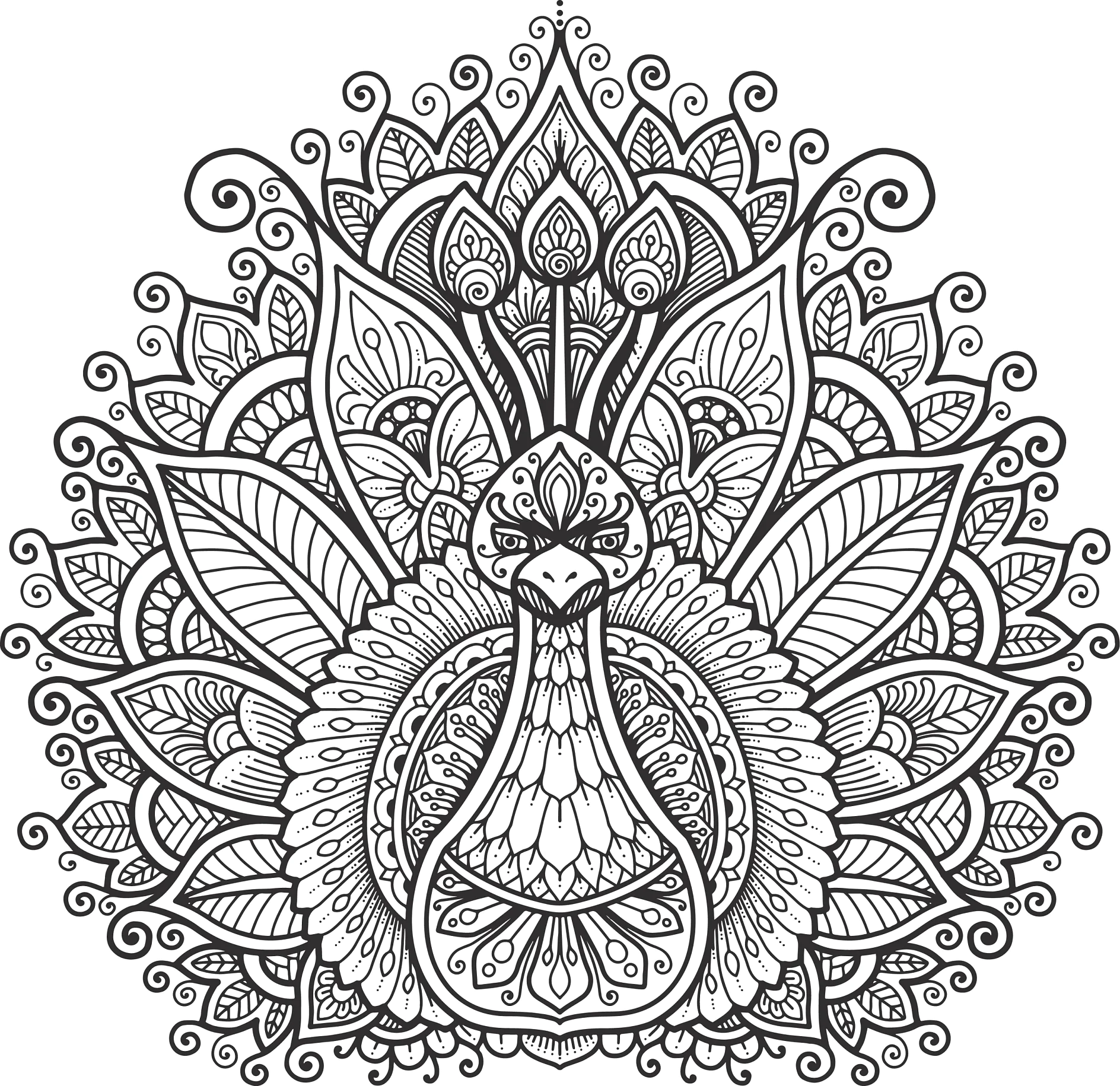 Detaillierter Mandala-Pfau, mit komplexen floralen Ornamenten umgeben.