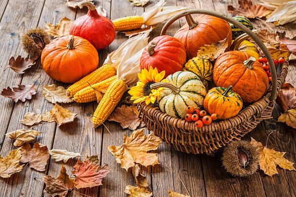 Fall decorating ideas | tesa DIY Magazine